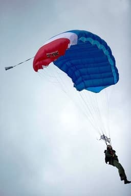 Mars Sonic (Jojowings) Main Canopy 3