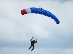 Mars Sonic (Jojowings) Main Canopy 1